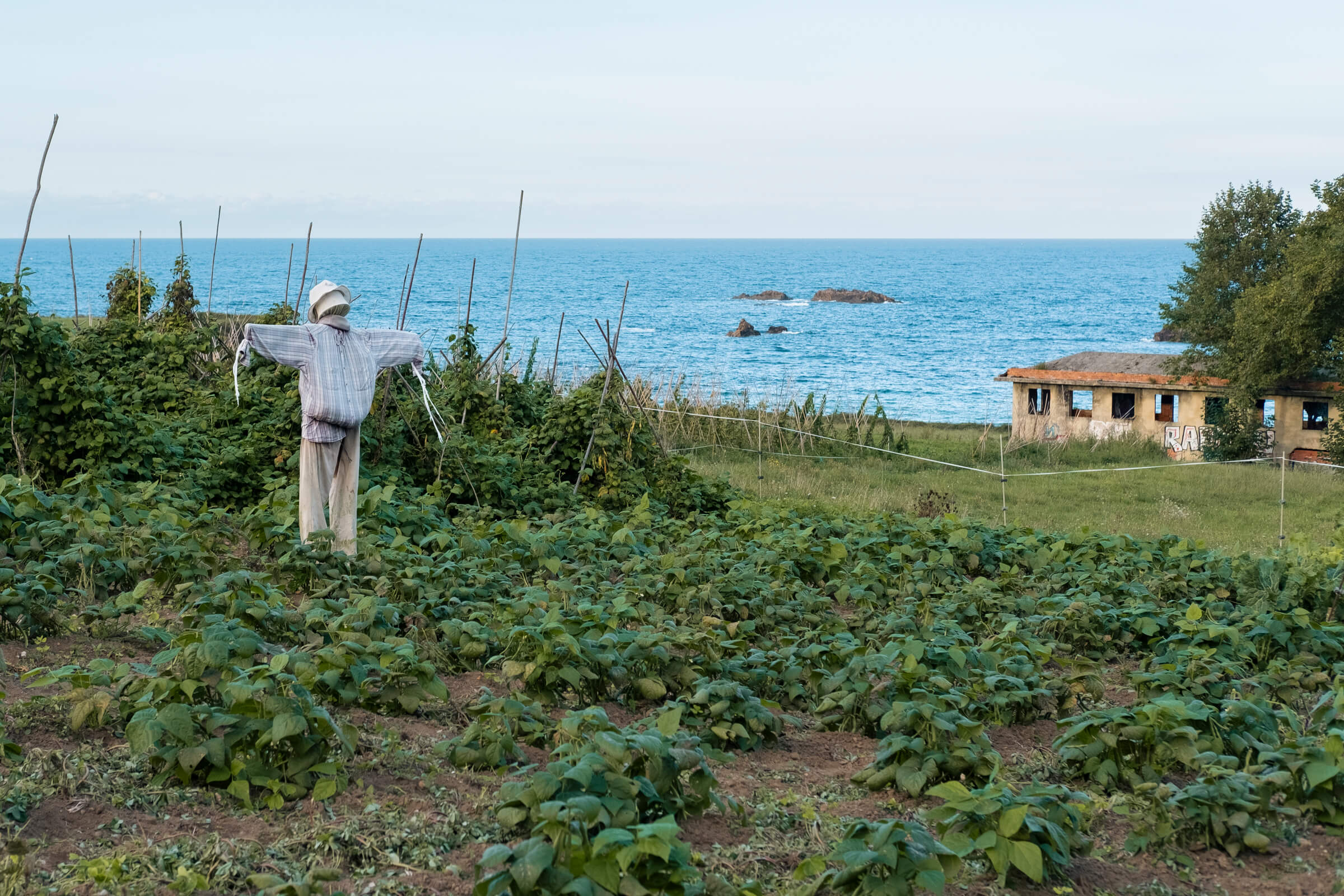 Huerto y espantapájaros. Huerto con vistas a la playa de Toranda