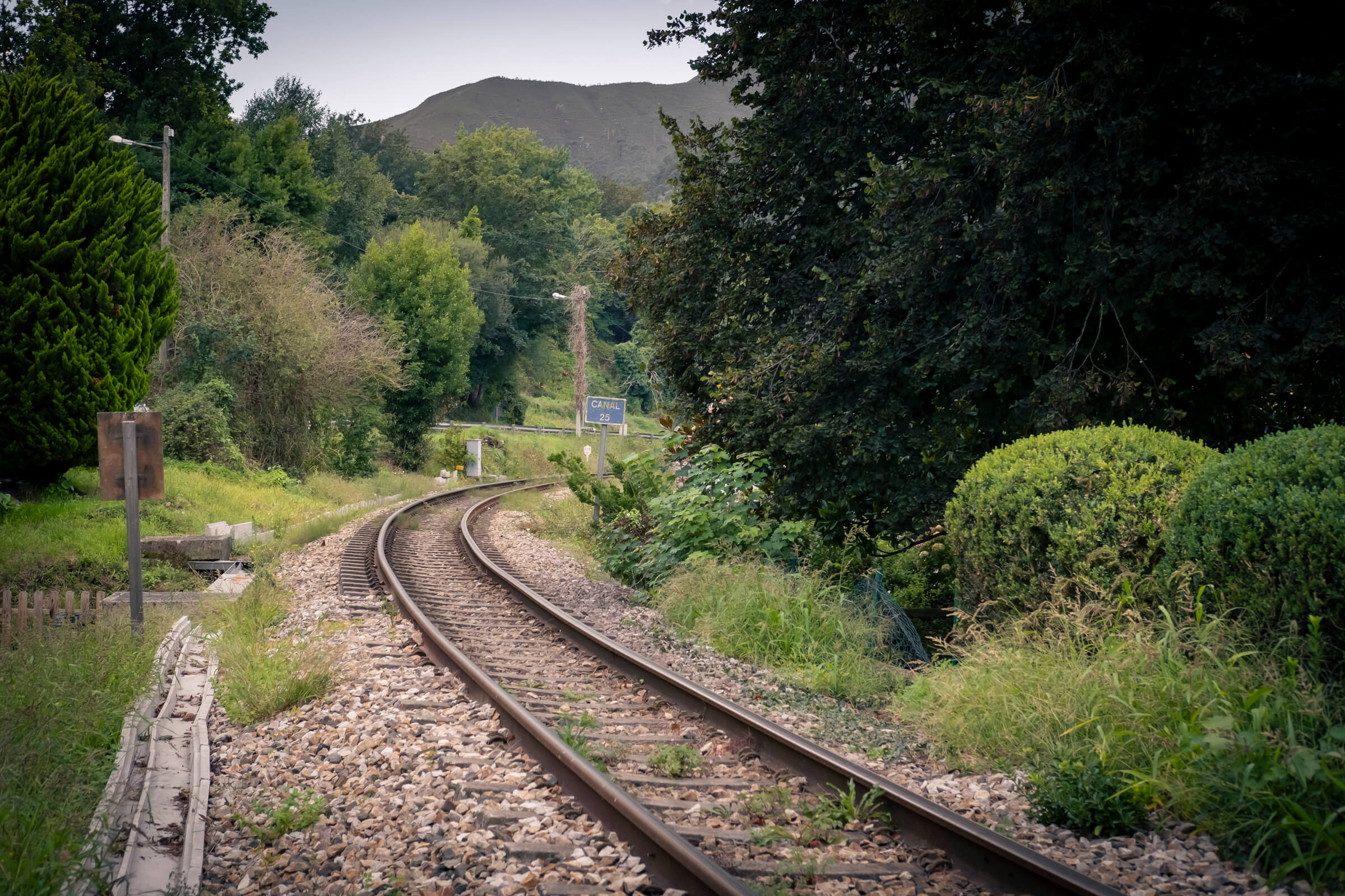 Parada de tren en Nueva (Llanes). Una vía de tren atraviesa la foto en lo que parece un bosque poblado de vegetación