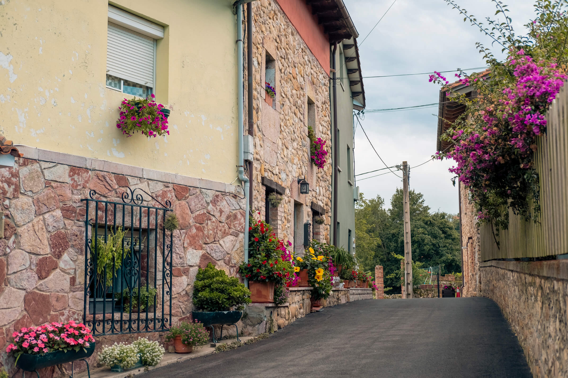 Las calles y las flores de Nueva (Llanes). Calle de Nueva (Llanes) con las casas todas llenas de flores
