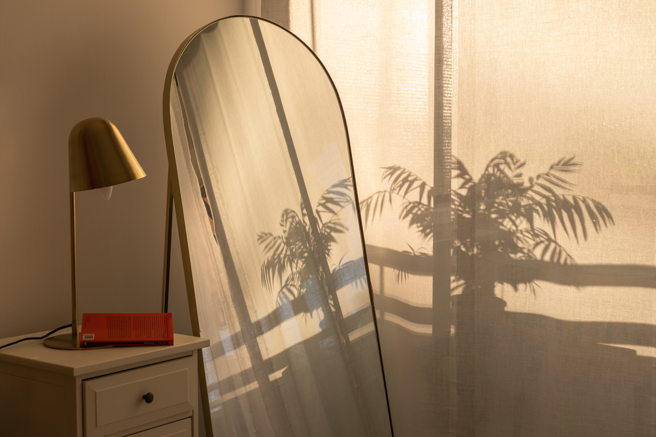 Espejo reflejando la sombra de la planta a través de la cortina, con la luz del atardecer