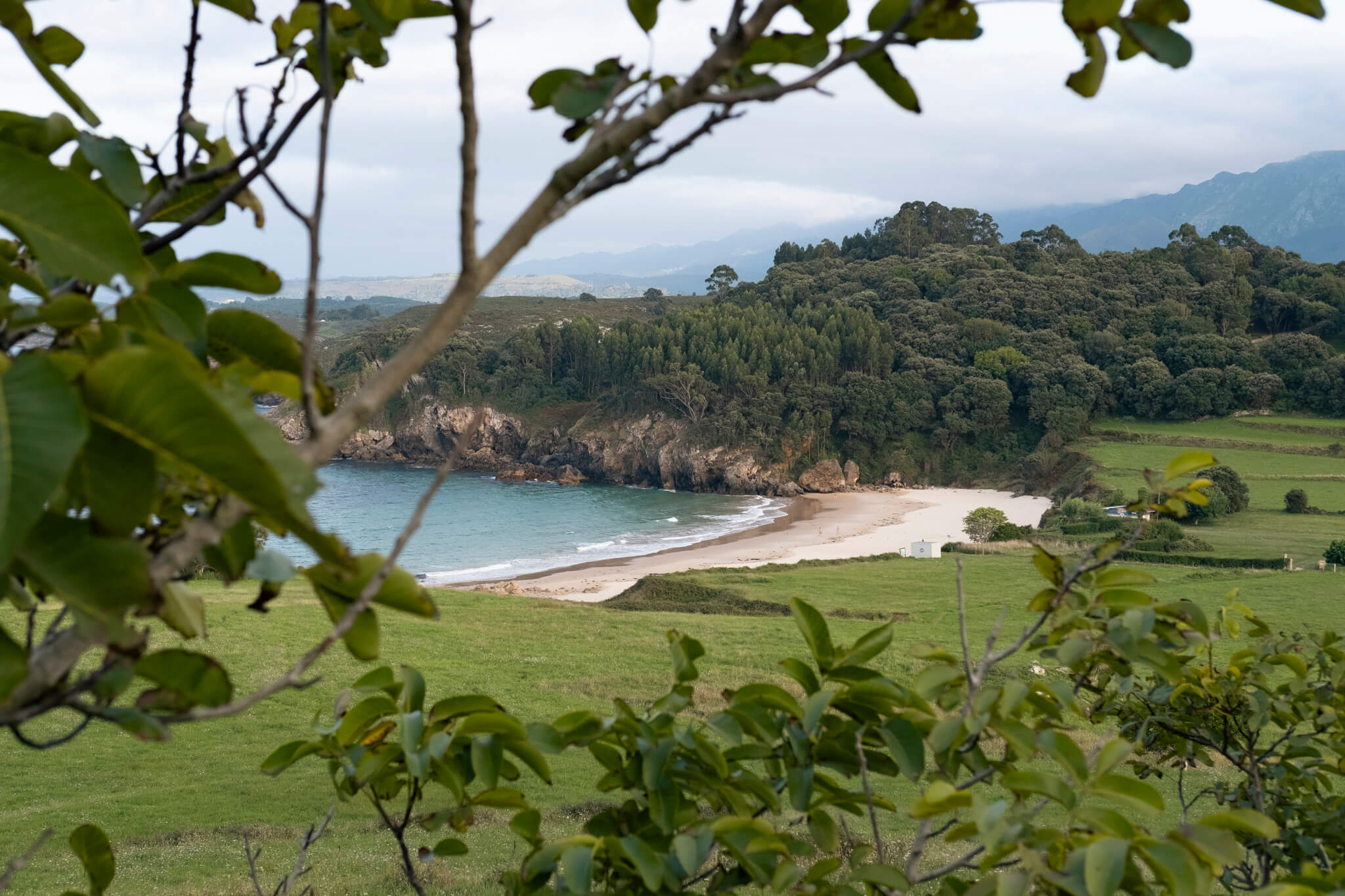 Playa de Toranda. La playa de fondo, con los prados verdes llegando hasta la arena
