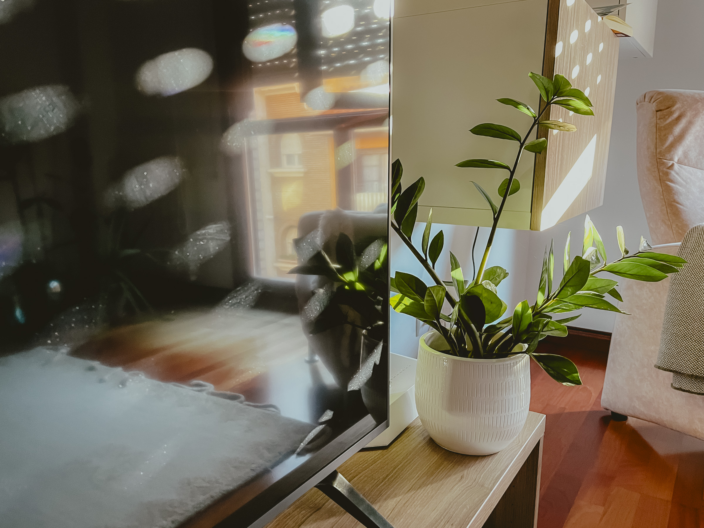 Las formas que hace la luz del atardecer al entrar a casa en invierno. Bodegón improvisado con una planta y un sillón iluminados por la luz cálida del atardecer entrando por la ventana