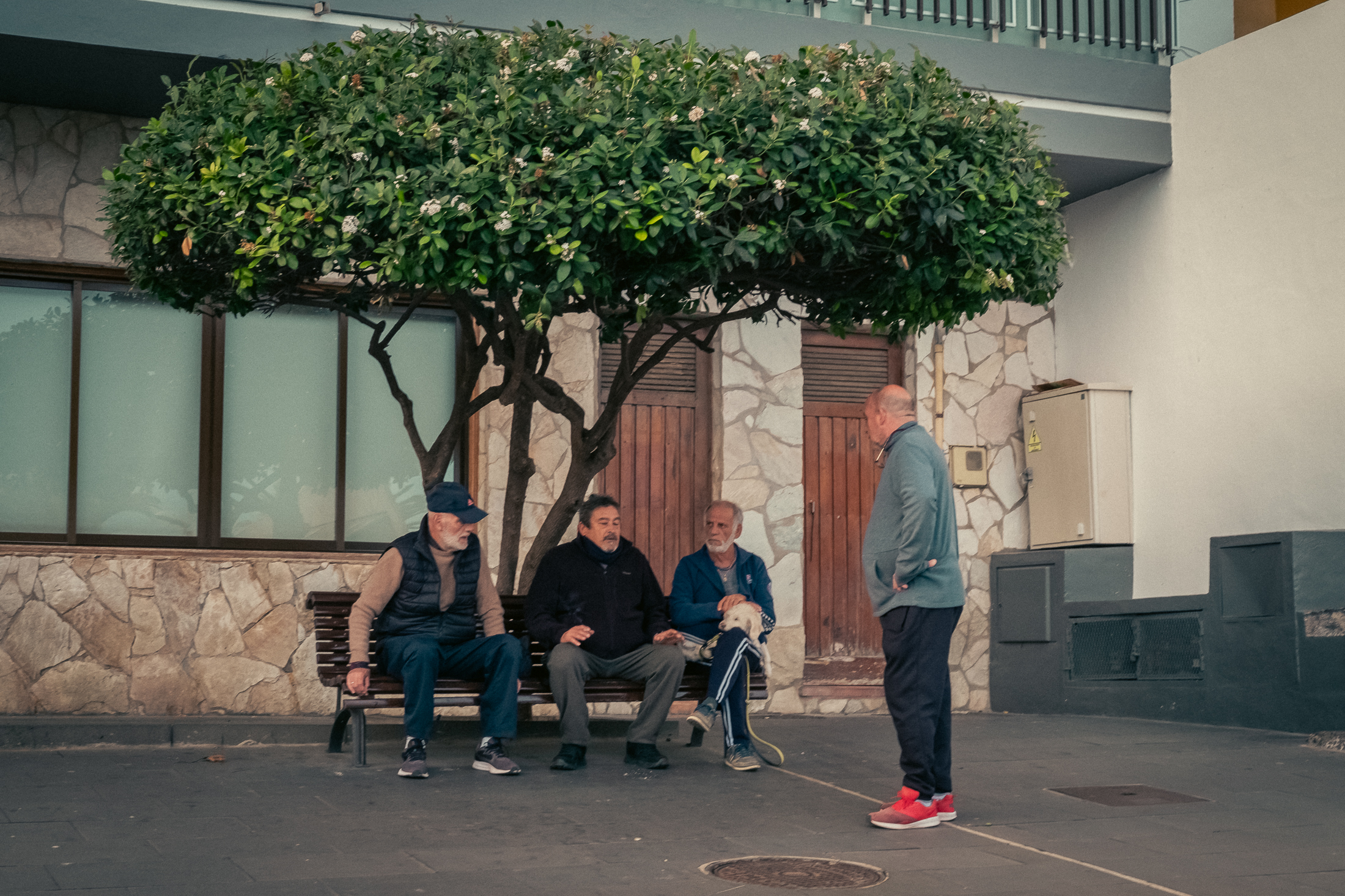 Grupo de amigos reunidos en un banco debajo de un árbol
