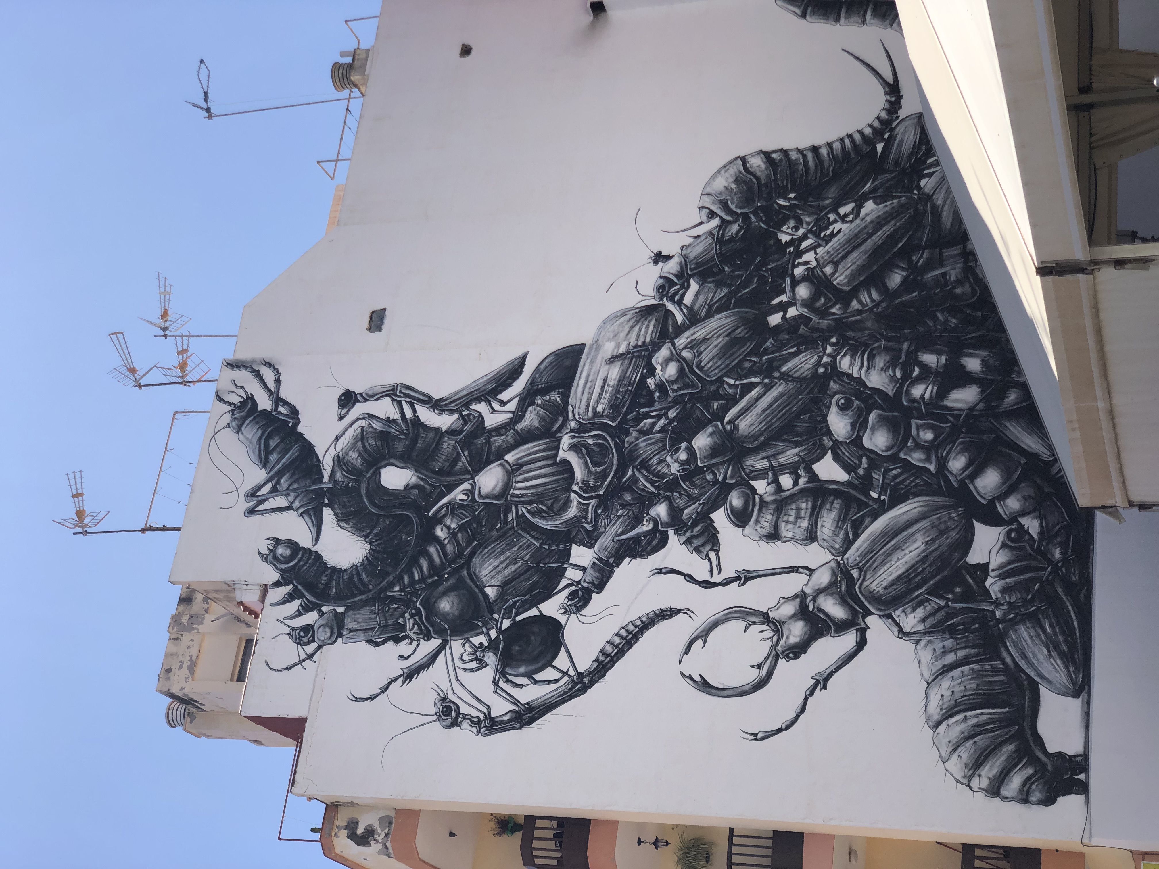 Foto del mural Animales