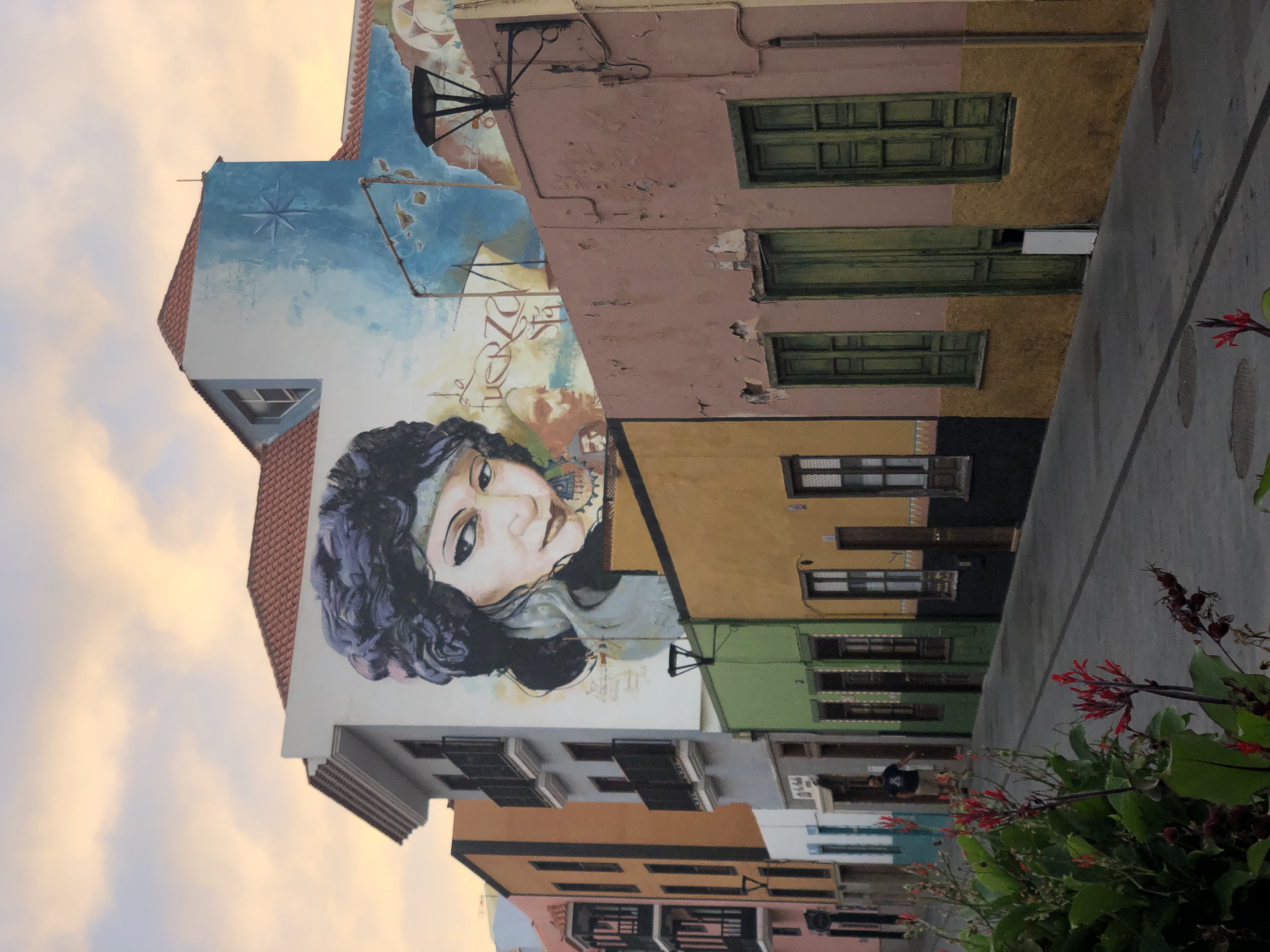 Foto del mural La Fuerza de las Raíces